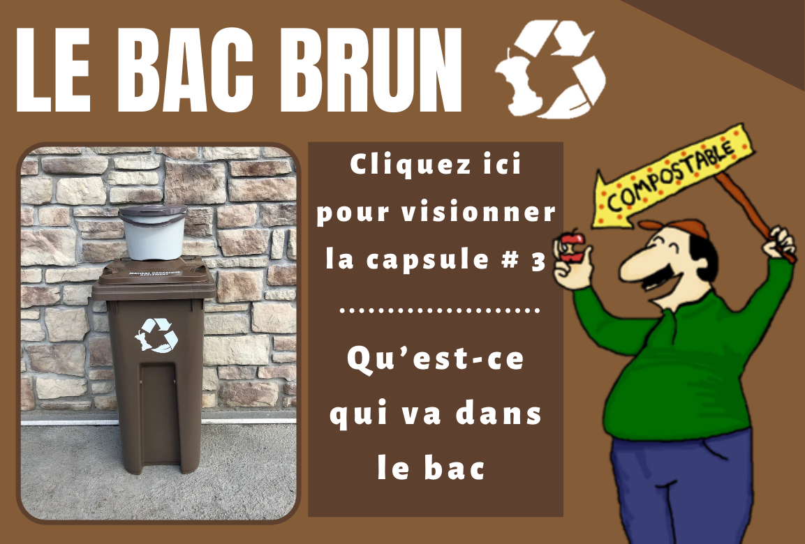 Capsule vidéo 3 bac brun