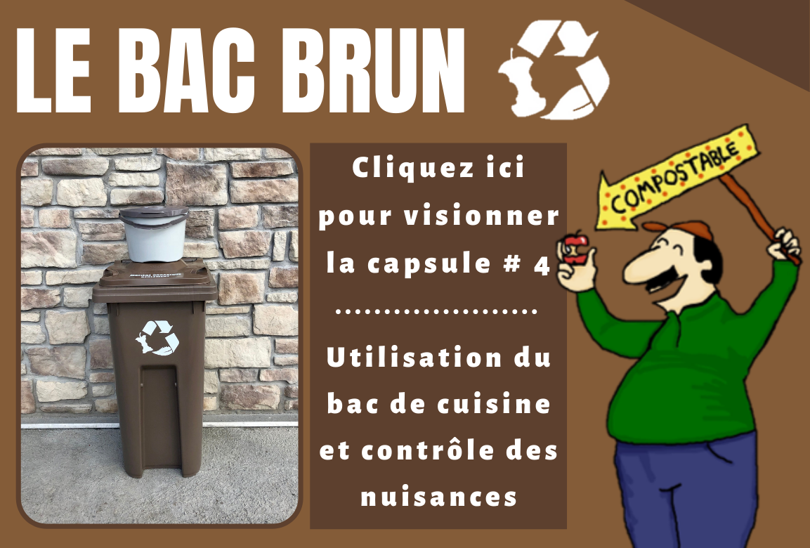 Capsule vidéo 4 bac brun