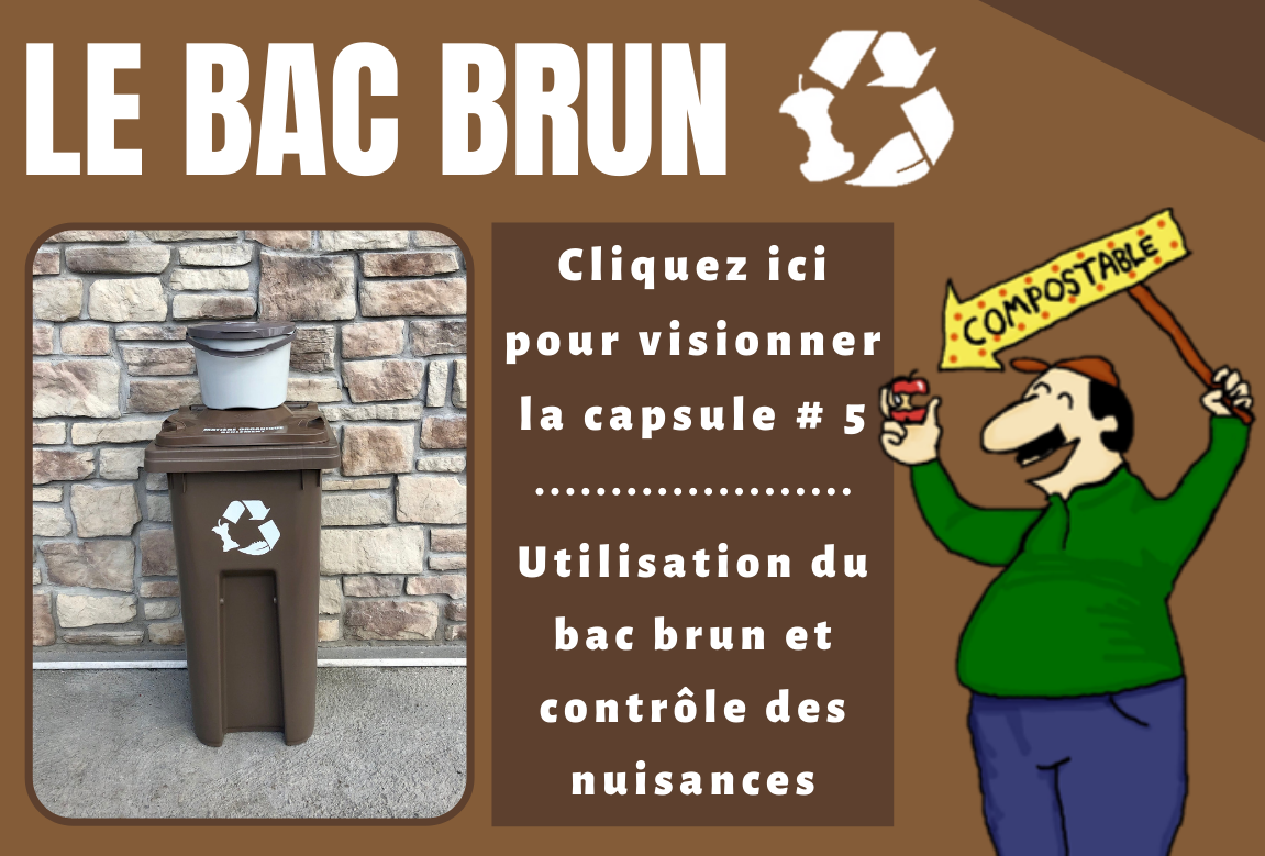 Capsule vidéo 5 bac brun