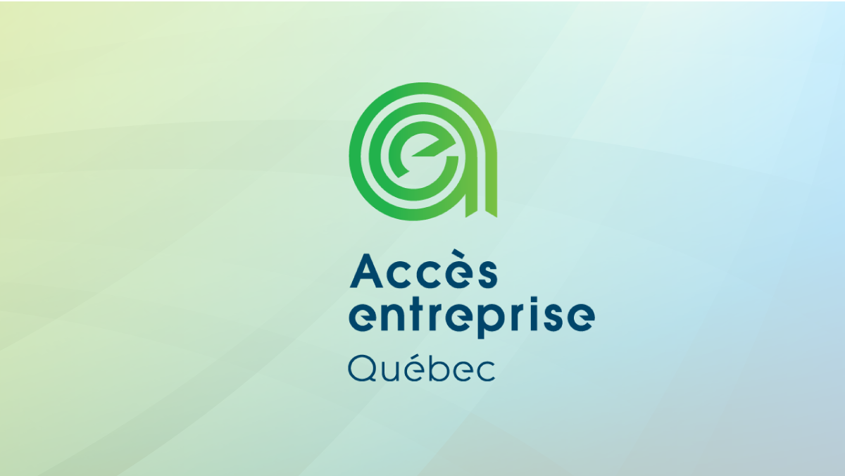 MS ACCES Entreprise MRC centre 01