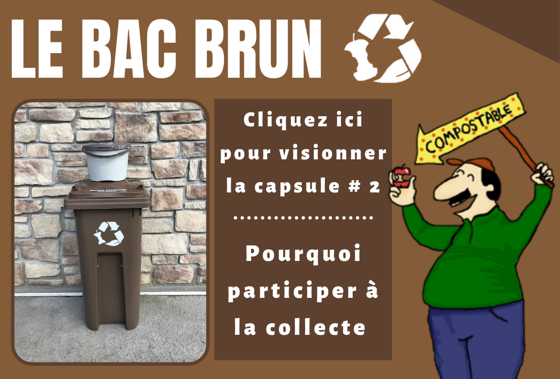  Capsule vidéo 2 bac brun