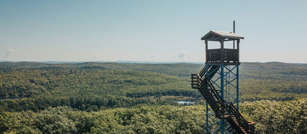 Ceci est le alt tag pour l'image.