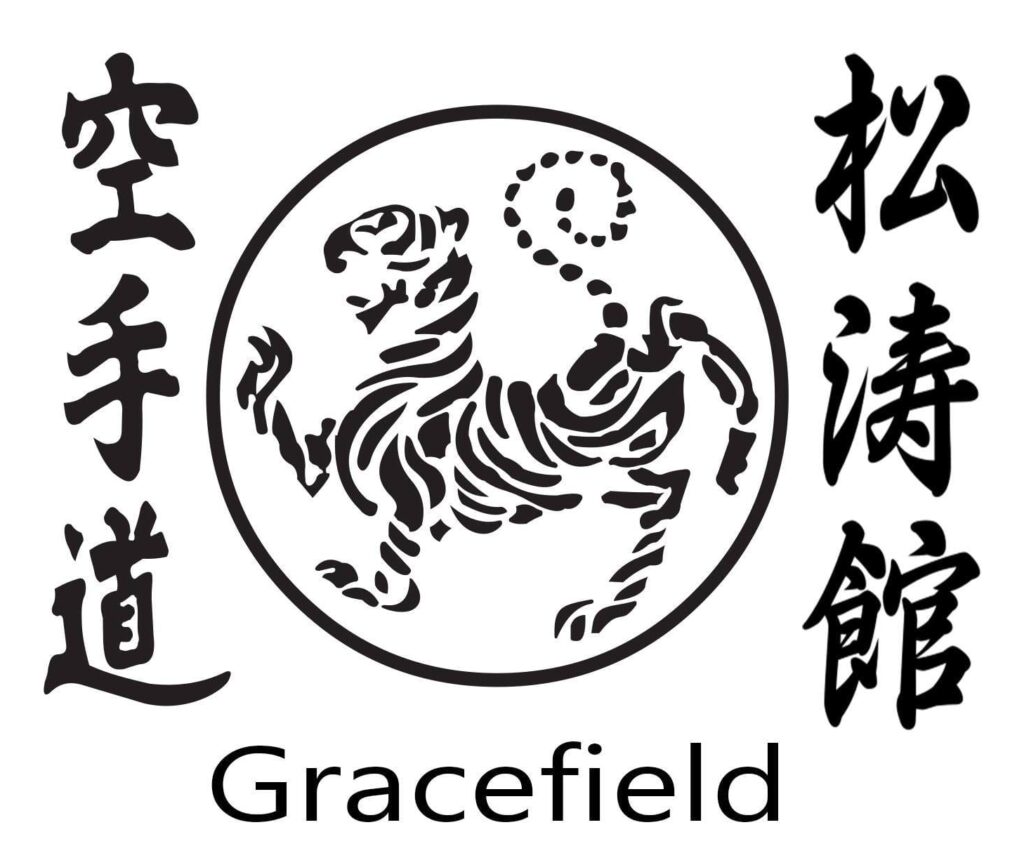 karaté gracefield