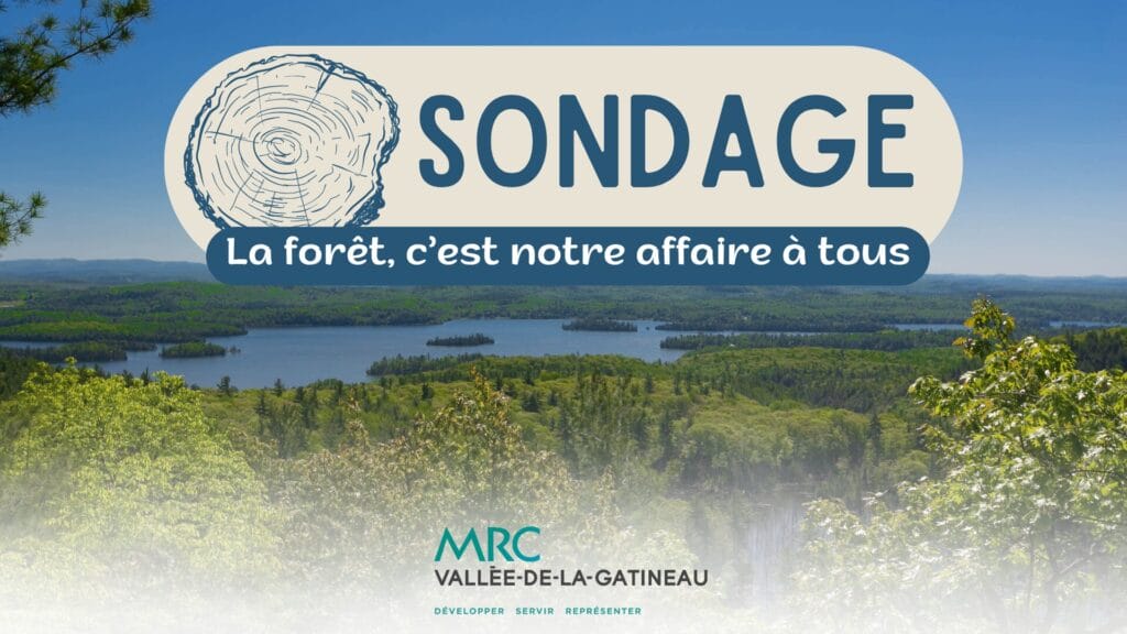 sondage foresterie